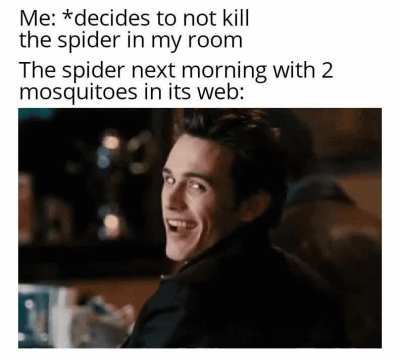 I got you, bro....
