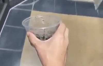 Гад ползучий