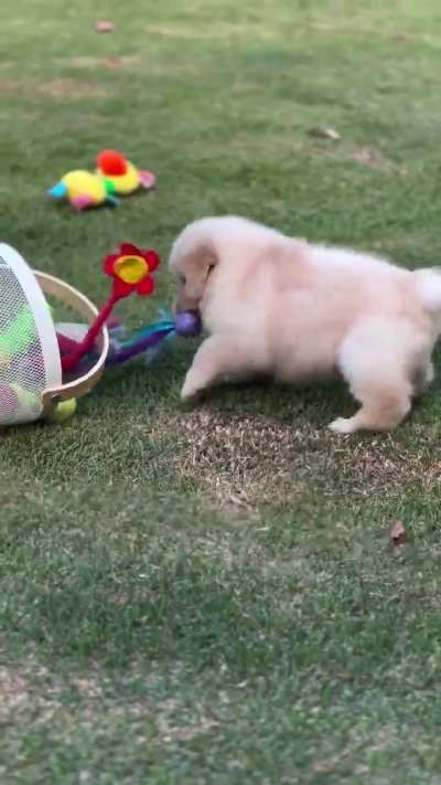 It&rsquo;s time to play 🥰