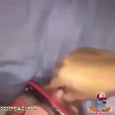Kkkkkkkkkkkkk