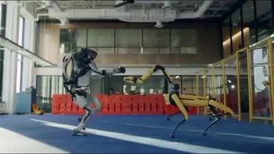 Boston Dynamics robots vibing to ecco