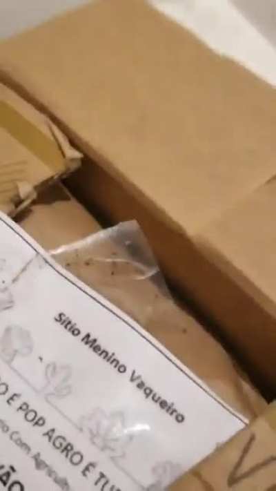 (Saiko vc foi o mal menino vc mereceu.) Por cornografista.