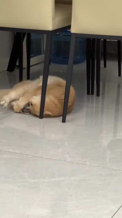 Look how she is throwing tantrums