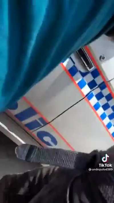 4 guys throw a snake into a cop car