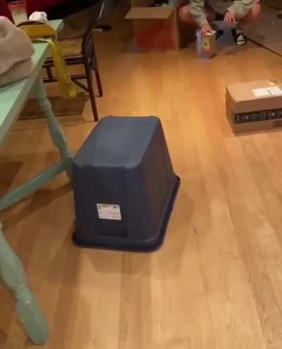 Battlecat