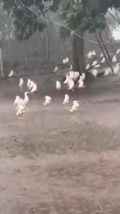 Any idea what's going on🤔