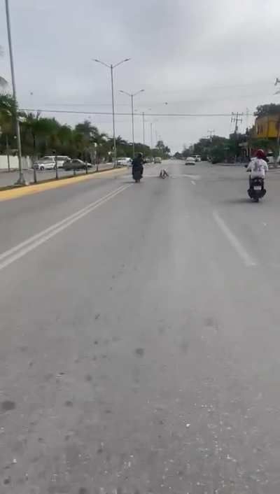 Terminator en Tulum.