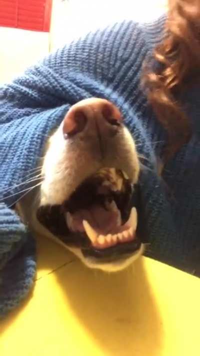 He does this a lot