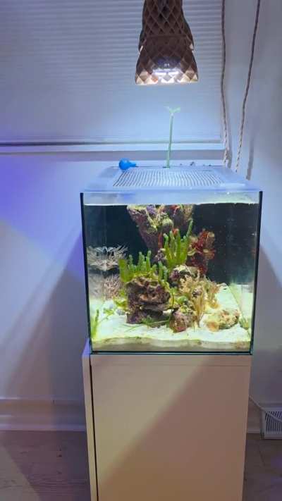 Little tour of how the fish room is coming a long.