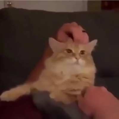 AAAAA