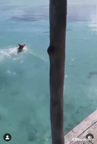 Maybe maybe maybe