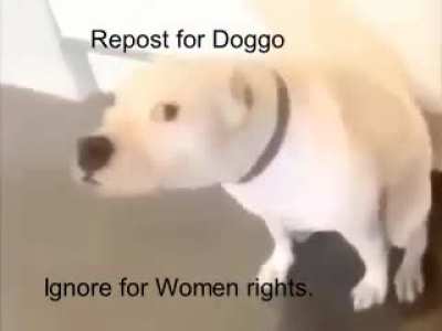 shamtpost
