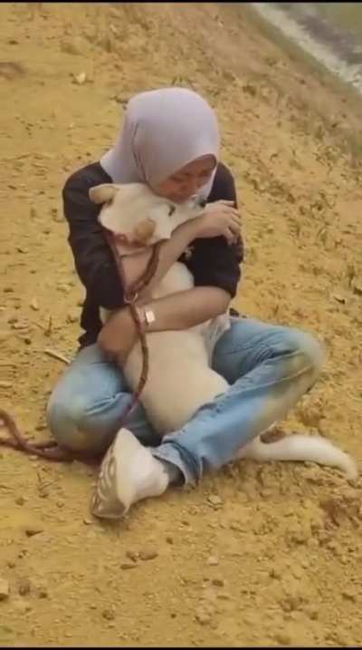 Animal Rescue van enroute from Malacca to KL for Adoption Expo involved in accident at NSE