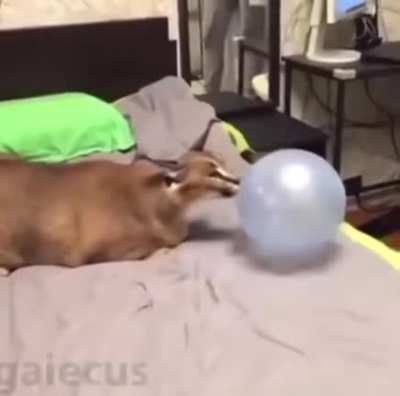 Reversed Boom