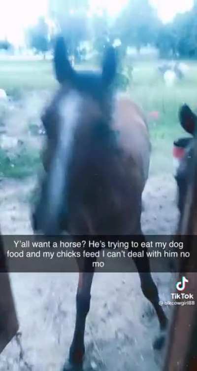 He&rsquo;s trying to play it off at the end