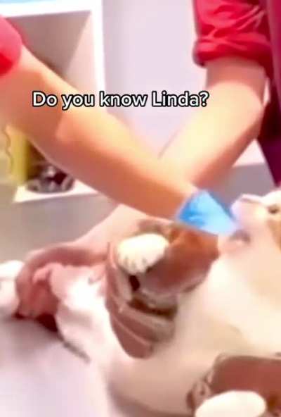 hope no one has posted here yet