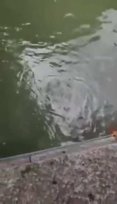 WCGW Not the best place to take a nap!