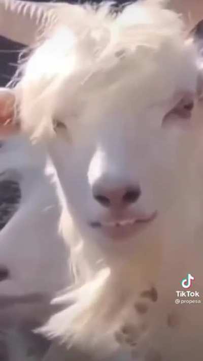 ._.