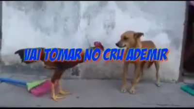 Shitpost que fiz '-"