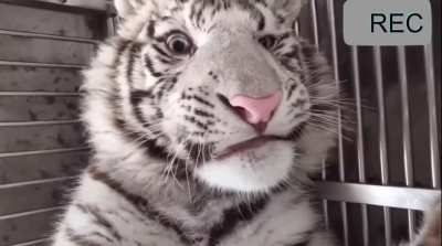 What are you looking at?