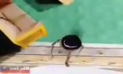 average day in Ju&aacute;rez