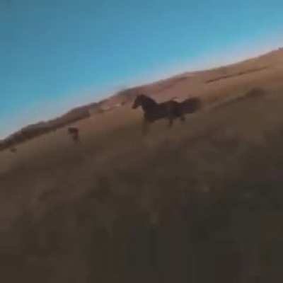 How it feels playing Crypto sometimes.