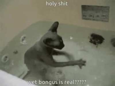 no way