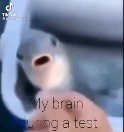 FR