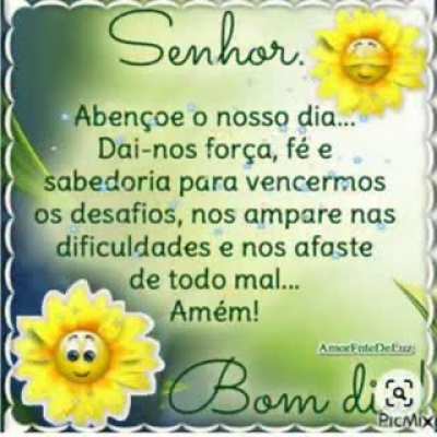 BOM-DIA 🤩AMIGOS !!!