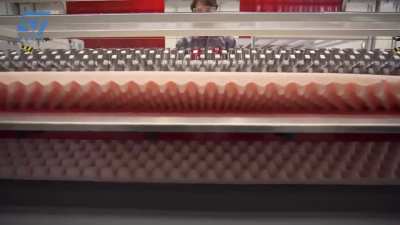 Profiling Roller in action