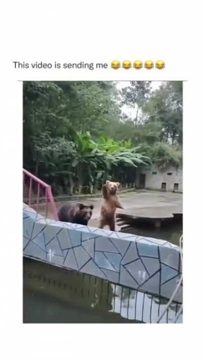 Over here dude