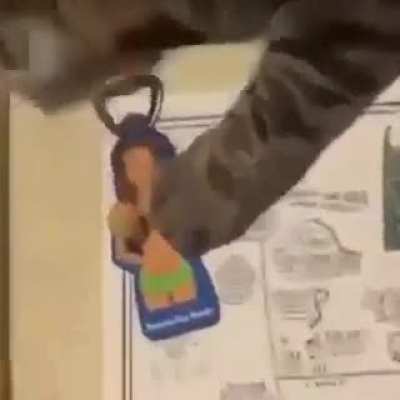 кот-сиськощуп