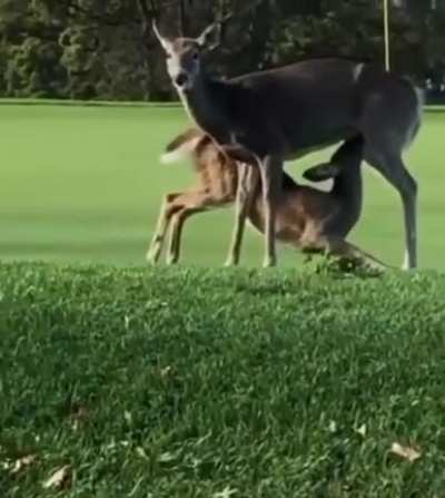 Nice shot dude!