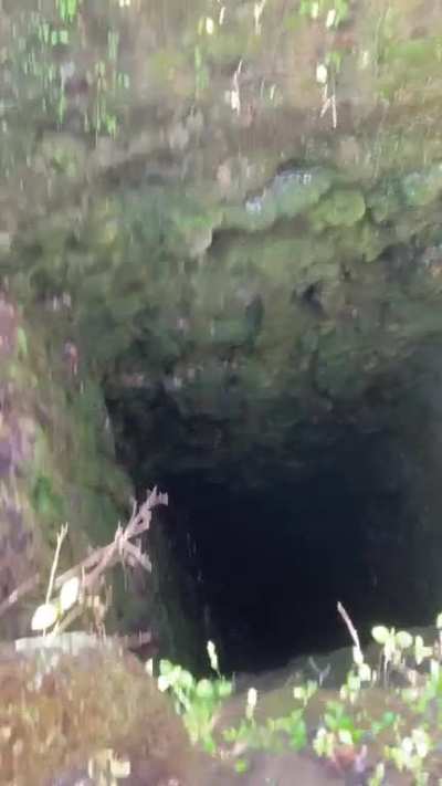 Found a death pit. So naturally&hellip;