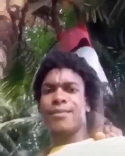 Bonk
