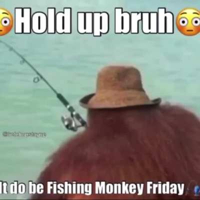 After thanksgiving let&rsquo;s settle down with a calm relaxing funky monkey Friday