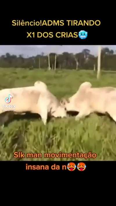 Sil&ecirc;ncio mero mortal