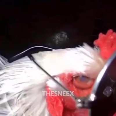 😉😉😉😉😉