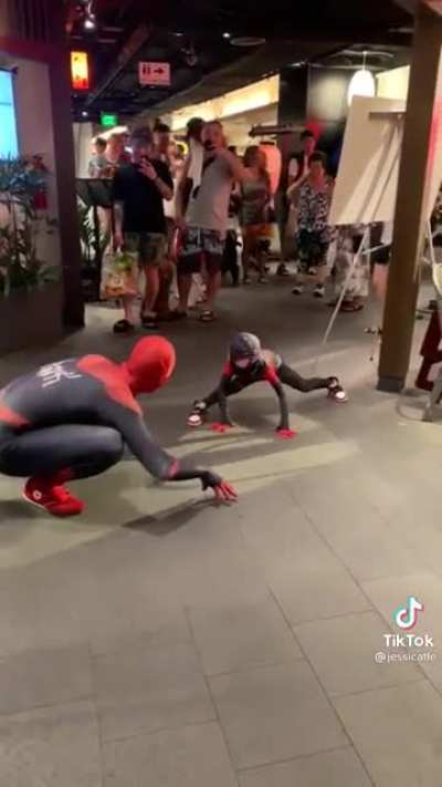 Spider-man vs. Spider-man