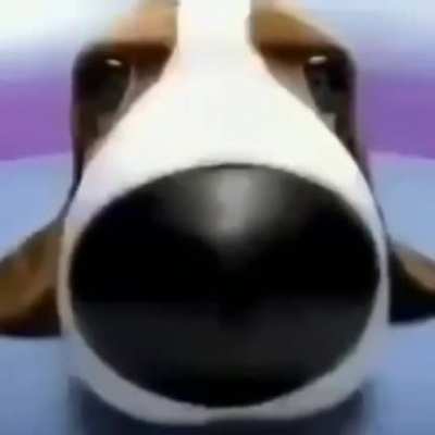 Newgrounds es un sitio web estadounidense creado para recolectar animaciones y trabajos Flash, m&uacute;sica, dibujos y literatura. Fue creado en 1995 por Tom Fulp, aunque desde 1991 ya exist&iacute;a