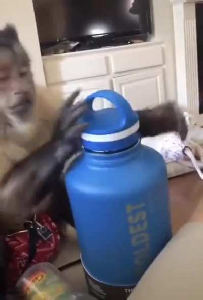 Quero ter um macaco de estima&ccedil;&atilde;o 🦹🤹