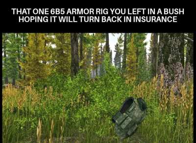 Insurance fraud