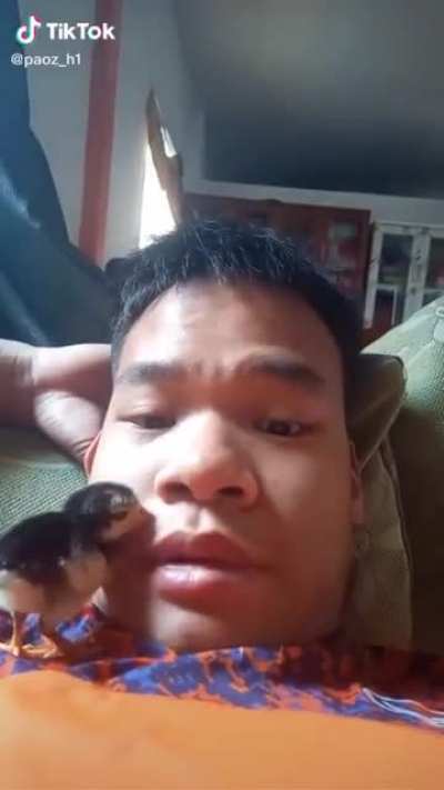 Berd