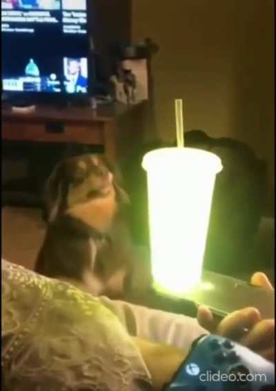 He&rsquo;s seen the light