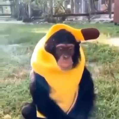 Soy un pl&aacute;tano