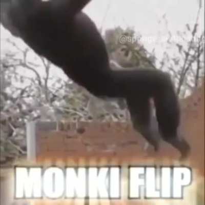 Le monki
