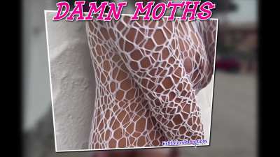 Damn Moths