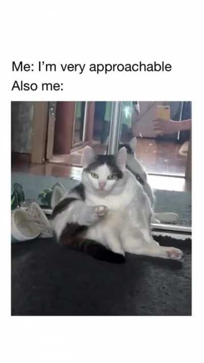 me_irl
