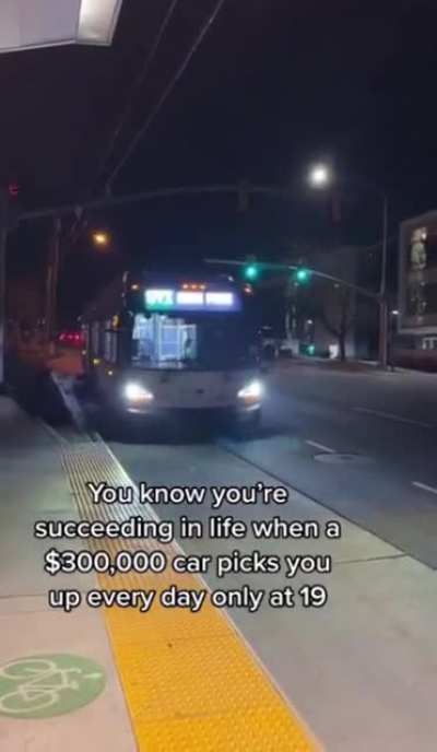 Bitch I&rsquo;m a luxury vehicle: Woah she&rsquo;s so rich!!!1!1!1! (From r/holup)