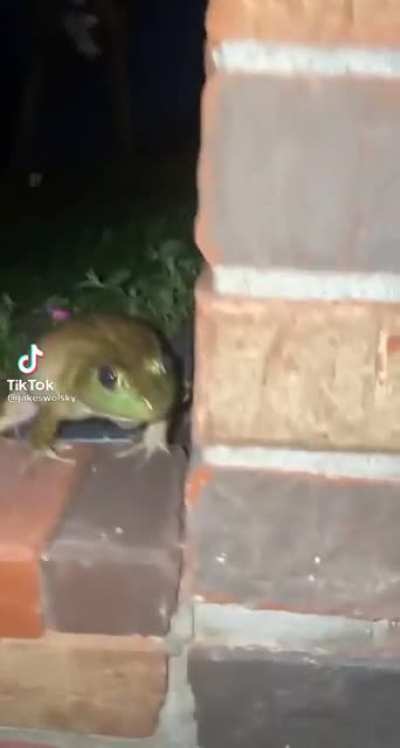 &Ouml;&AElig;EEEEEEE